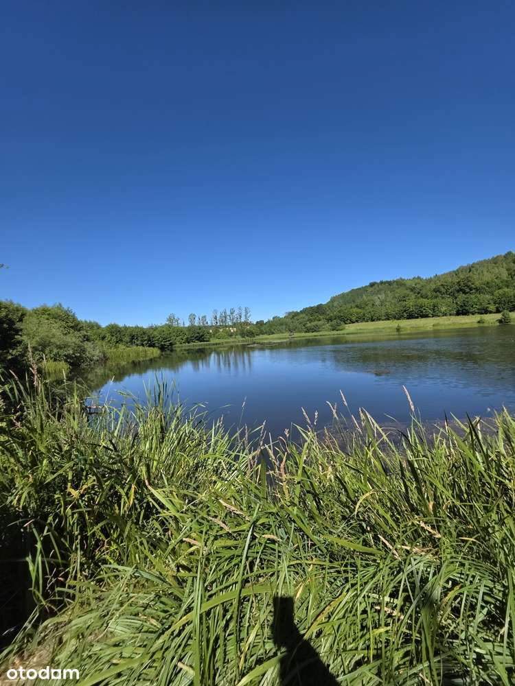 Doskonała Inwestycja,  stawy, grunty , młyn - Pełny obrazek: 2/6