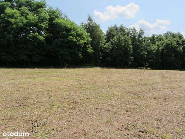 Działka budowlana- Myszkowice, Powiat Będzin-2