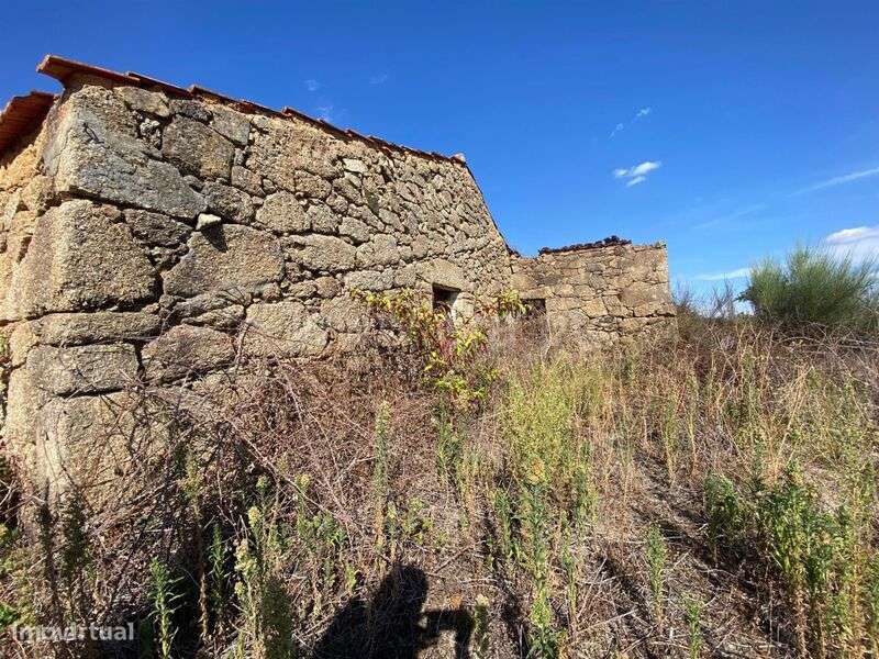 Quinta T1 / Fundão, Vale Prazeres - Grande imagem: 2/9