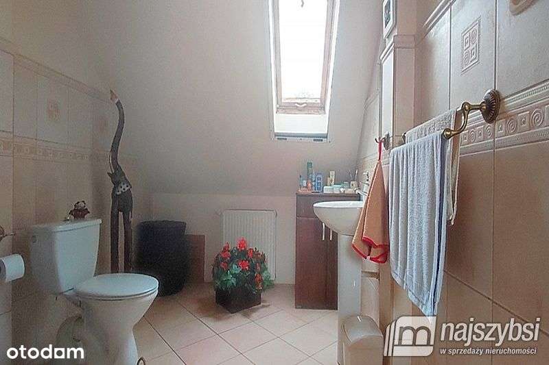 Rozwojowa Inwestycja Blisko Morza !!! - Pełny obrazek: 5/16