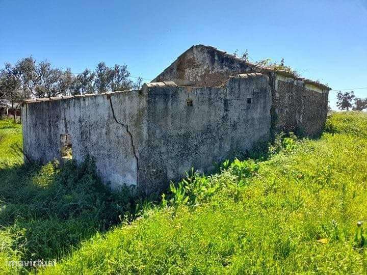 Quinta em Vale Seco  com projecto aprovado - Grande imagem: 4/10