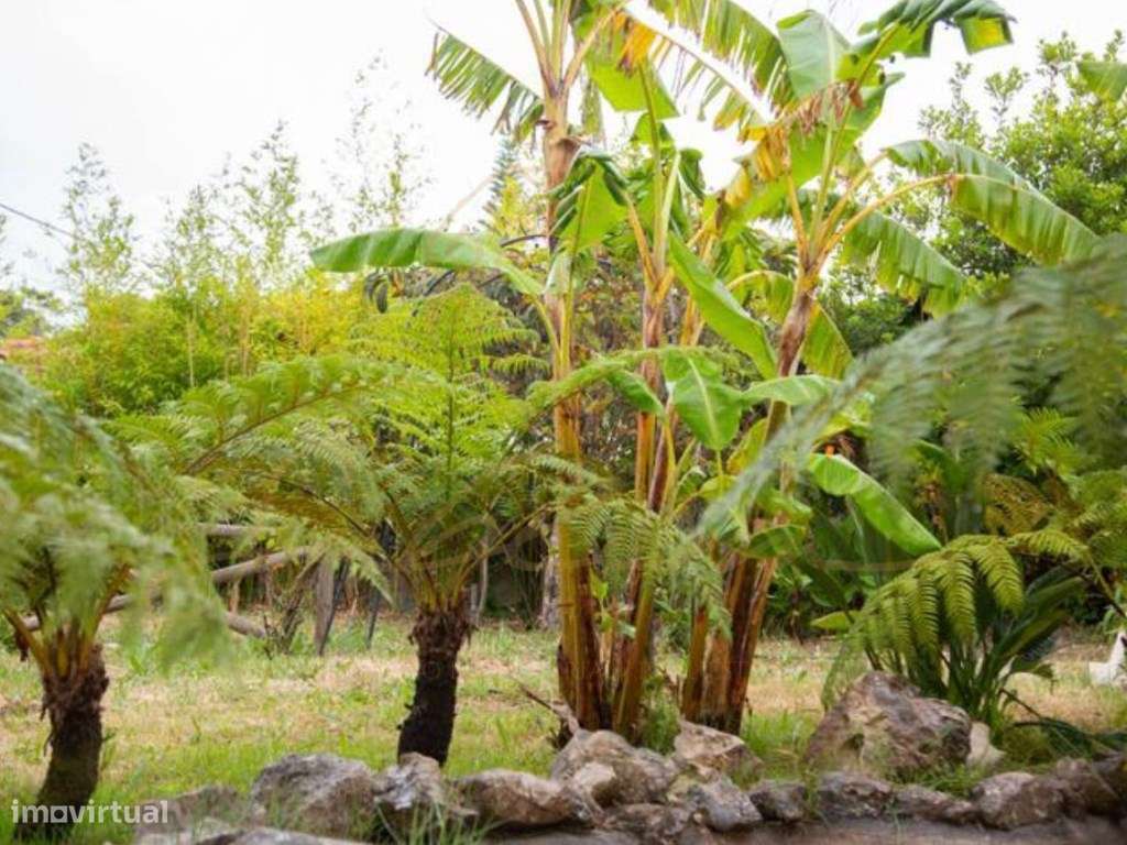 Moradia Isolada com 6 Assoalhadas e Piscina - Grande imagem: 4/14