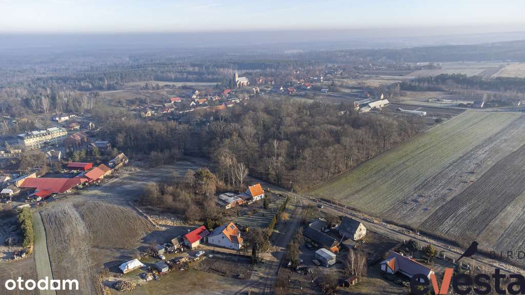 Działka budowlana | Bagno | 2800 m2 | las - Pełny obrazek: 5/7