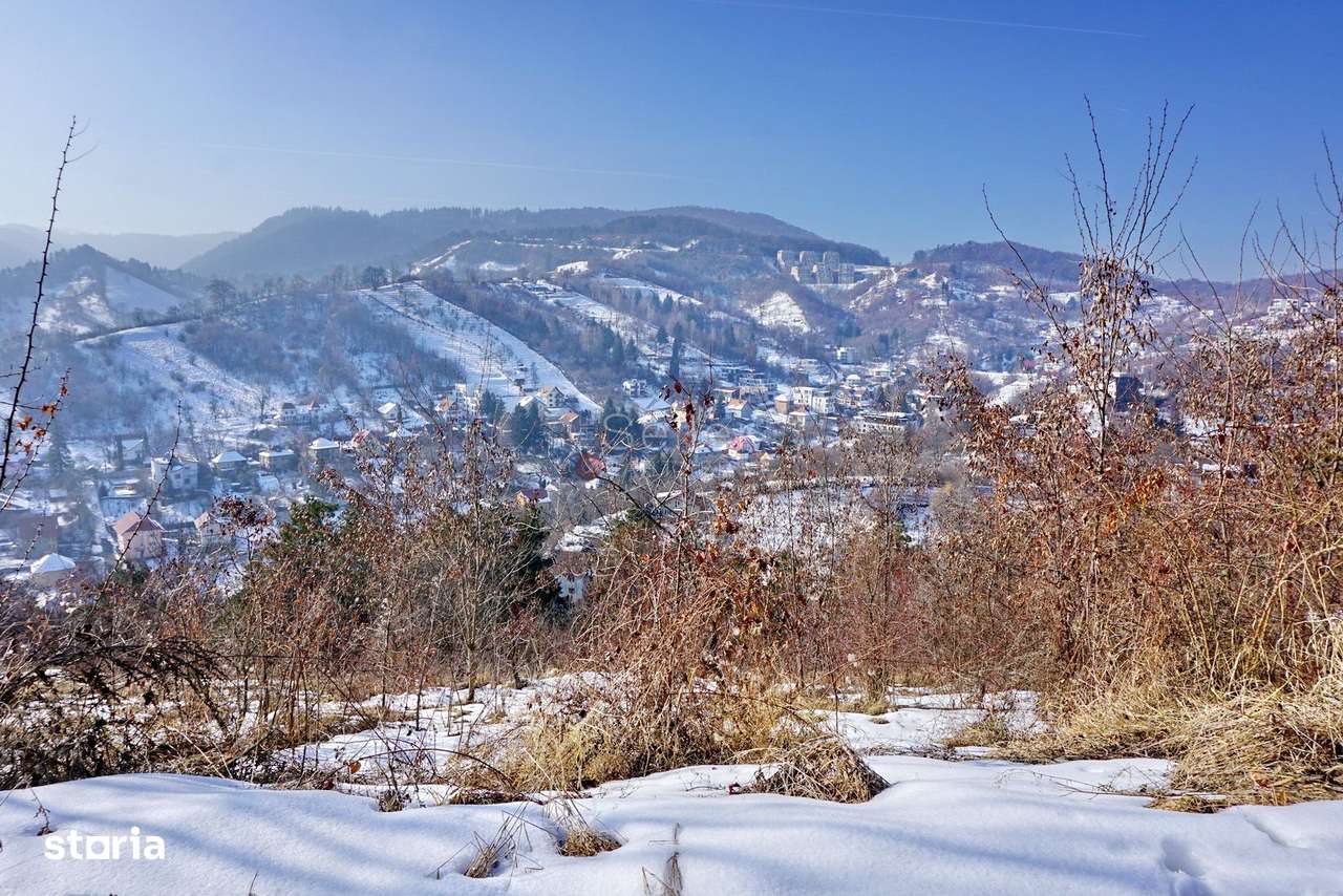 Teren Intravilan - Zona Drumul Poienii - Imagine principală: 4/8