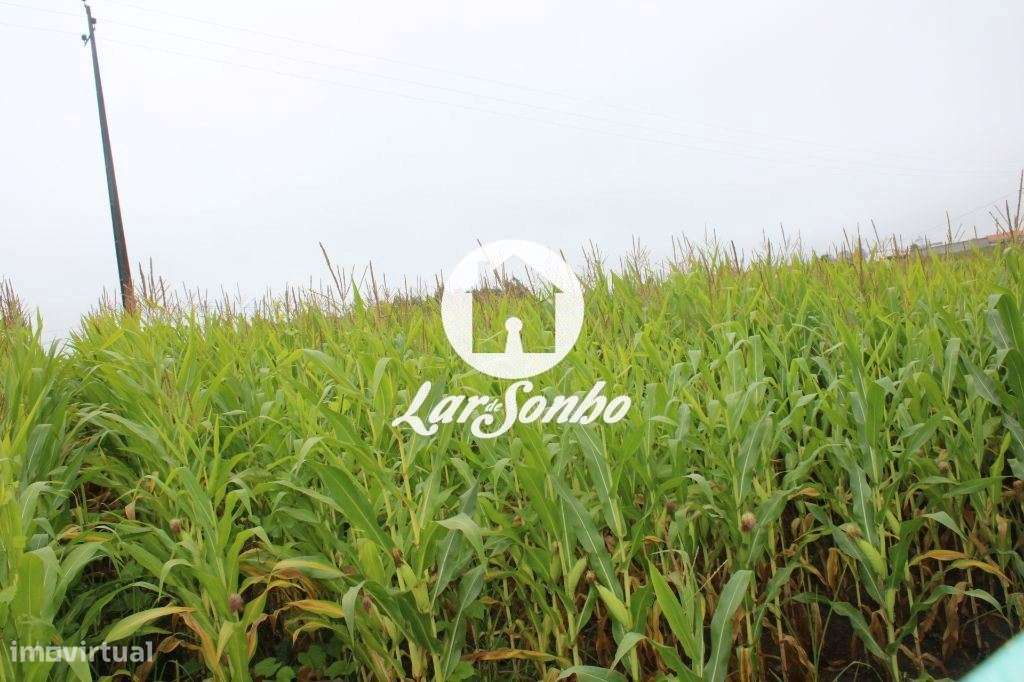 Terreno construção de Moradias - Grande imagem: 2/25