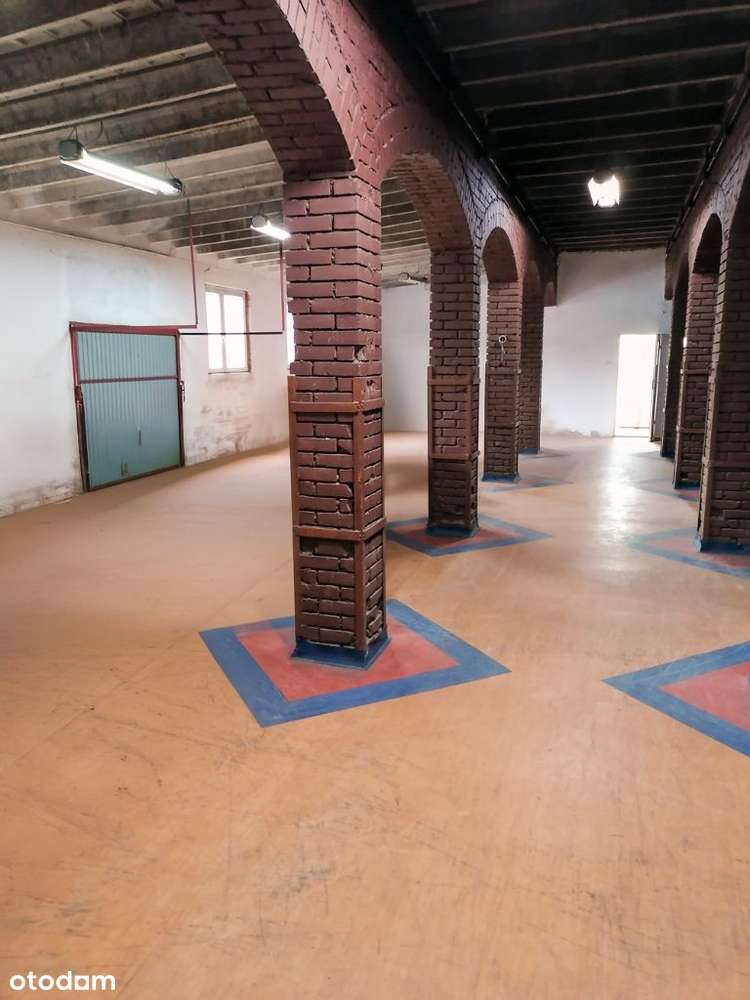 hala magazynowo - produkcyjna - Pełny obrazek: 5/5