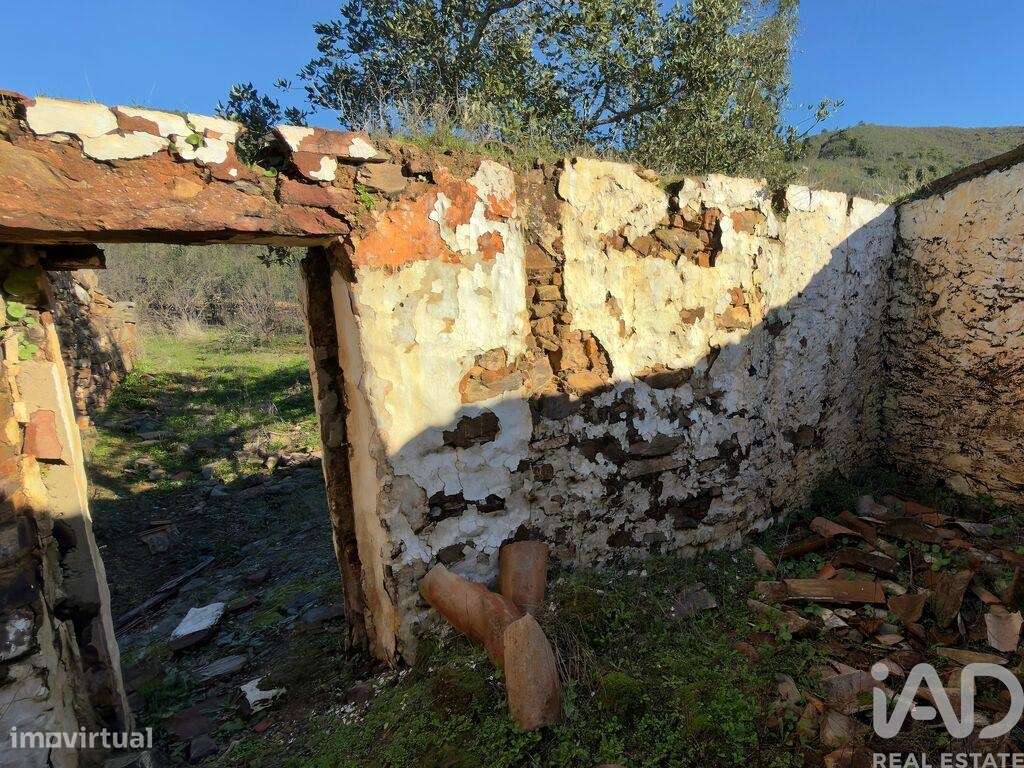 Terreno misto em São Bartolomeu de Messines - Grande imagem: 5/21