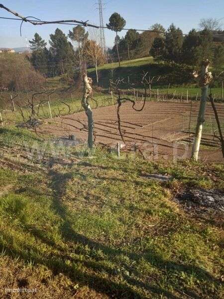 Moradia T1 / Marco de Canaveses, Constance - Grande imagem: 4/5