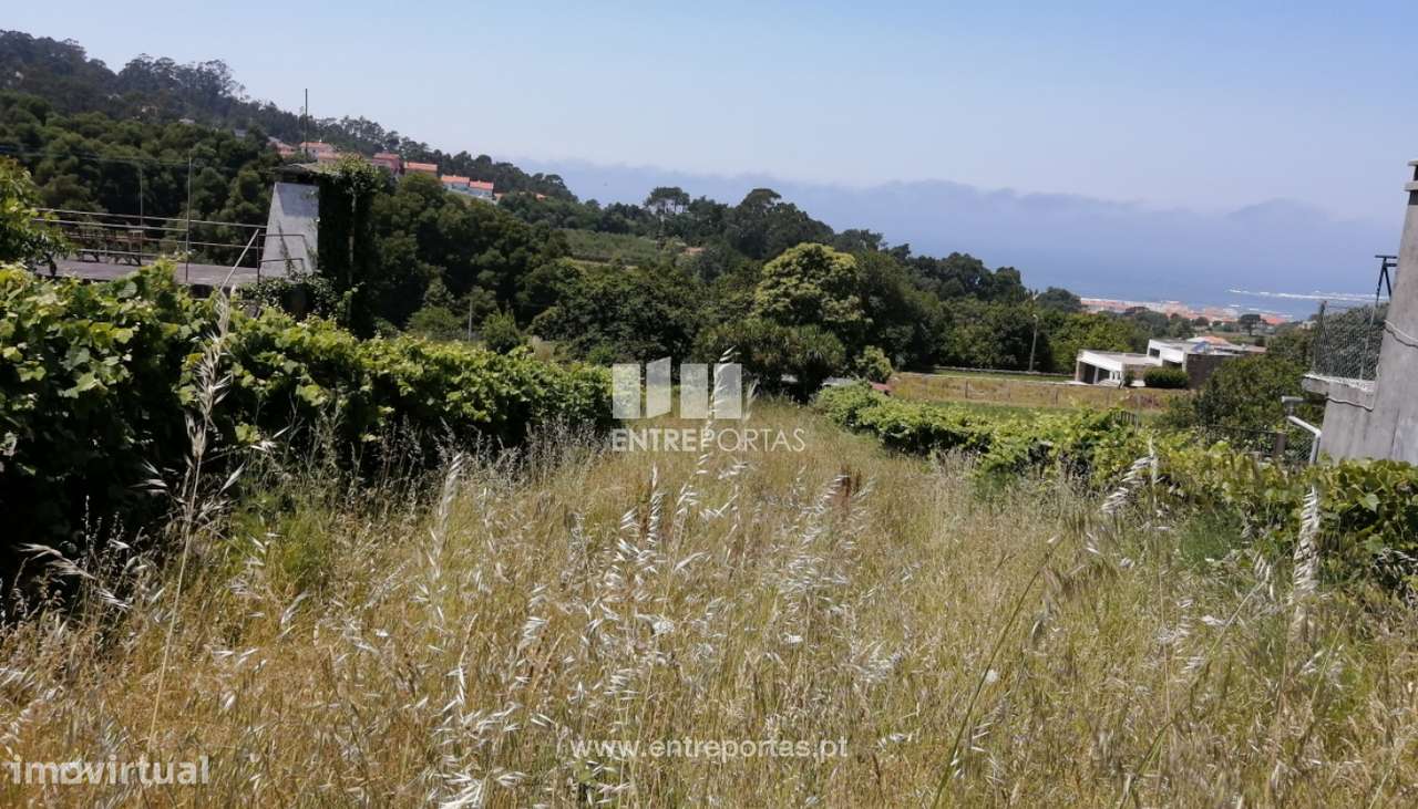 Terreno com vistas rio para venda, Moledo, Caminha - Grande imagem: 4/6