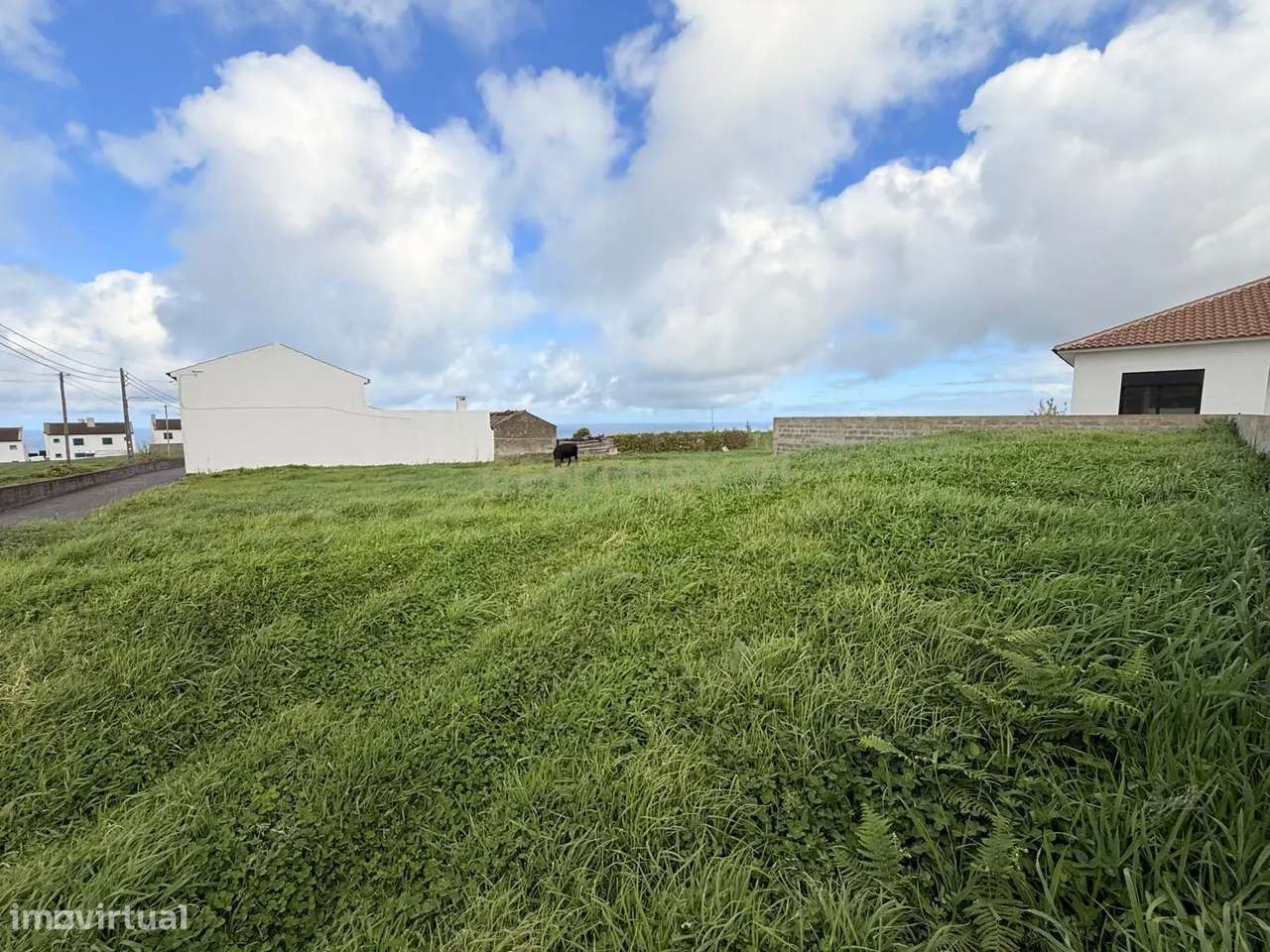 Terreno Rústico com Viabilidade de Construção – Vista Mar e Serra | Ex - Grande imagem: 4/8