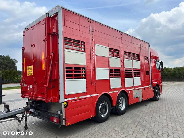 DAF XF 105.510 Oryginalny zestaw do przewozu trzody/bydła Pezzaioli/oś skrętna - 5