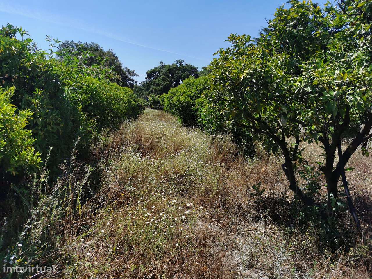 Terreno Urbano em Quinta do Anjo, Palmela - 1250m²-7