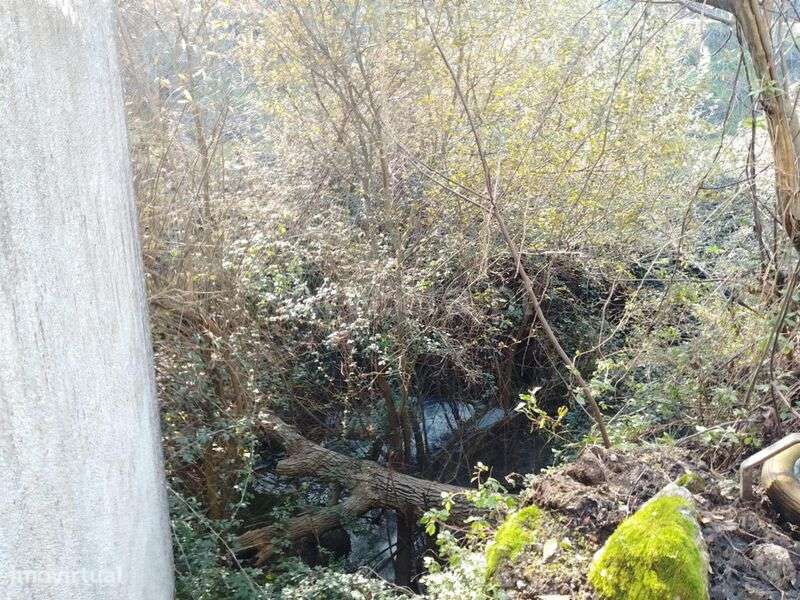 Armazém / Covilhã, Covilhã-13