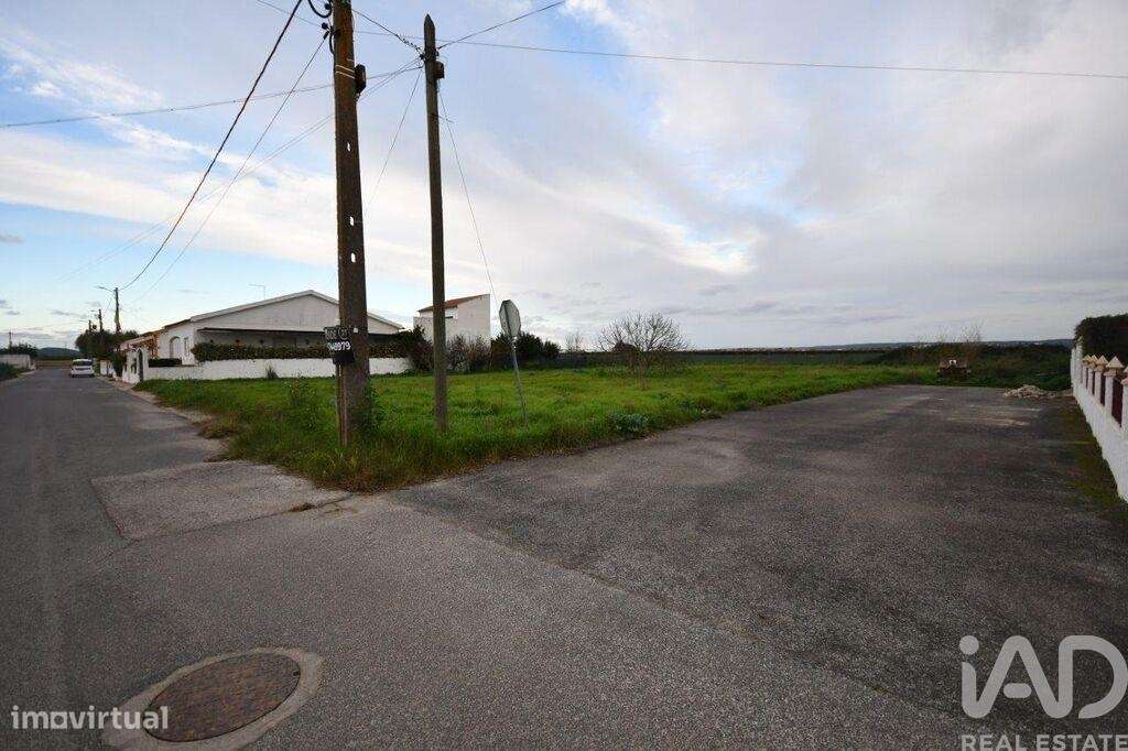 Terreno em Azinhaga de 375,00 m2 - Grande imagem: 4/30