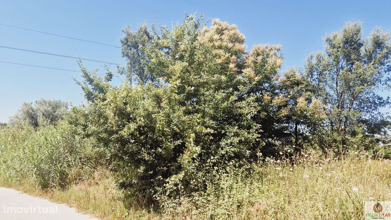 Terreno  inserido em Zona RAN - Grande imagem: 2/5