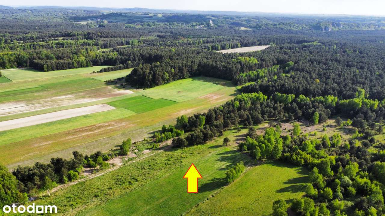 BEZ PCC 2% !! Tuż przy lesie! Podzielone! Objęte MPZP! BUDOWLANE !! - Pełny obrazek: 4/10