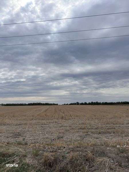 Teren intravilan de vanzare - Carligei Bucovat - Imagine principală: 5/5