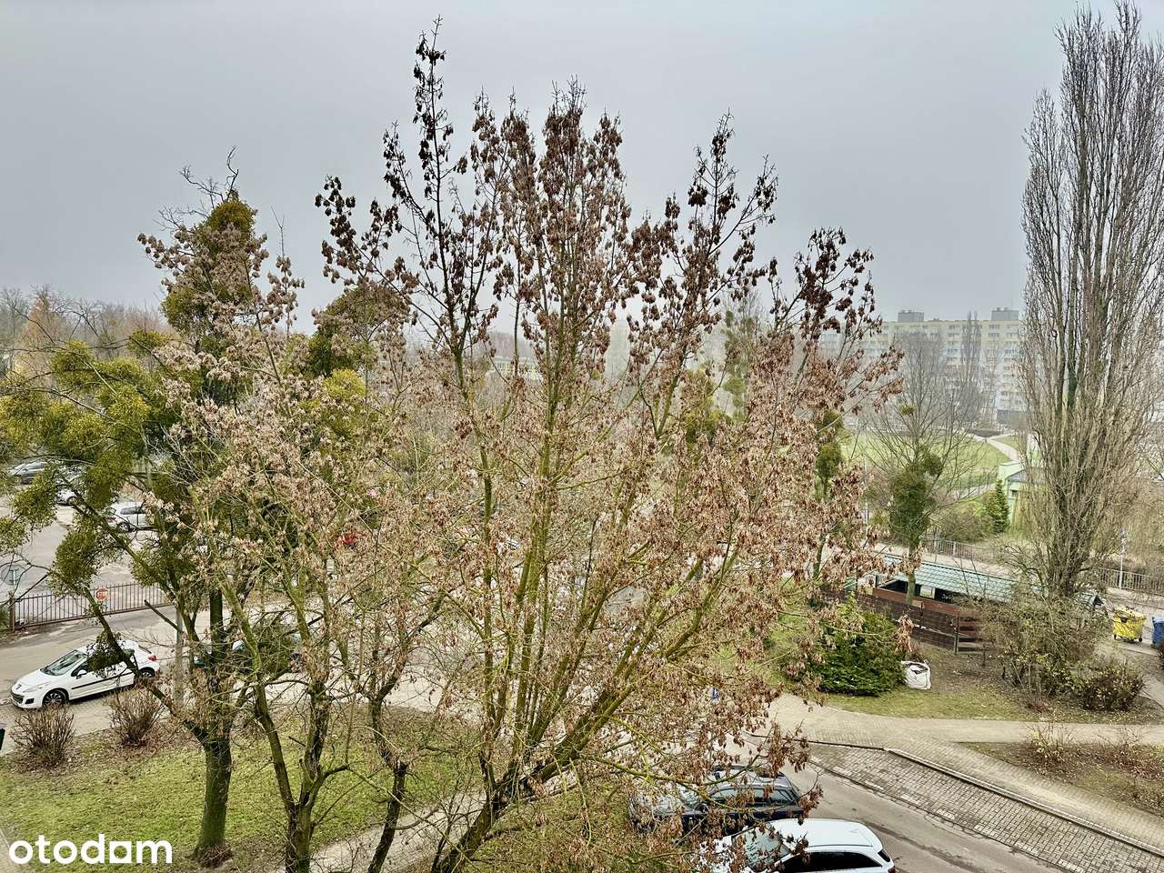 Przestronne mieszkanie 3-pokojowe | Os. Rzeczypospolitej. Wolne-13