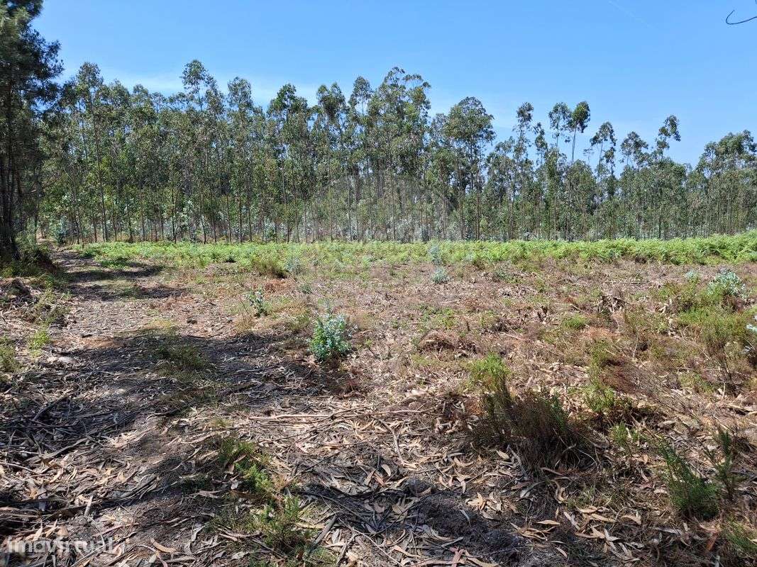 Terreno  para venda - Grande imagem: 3/3