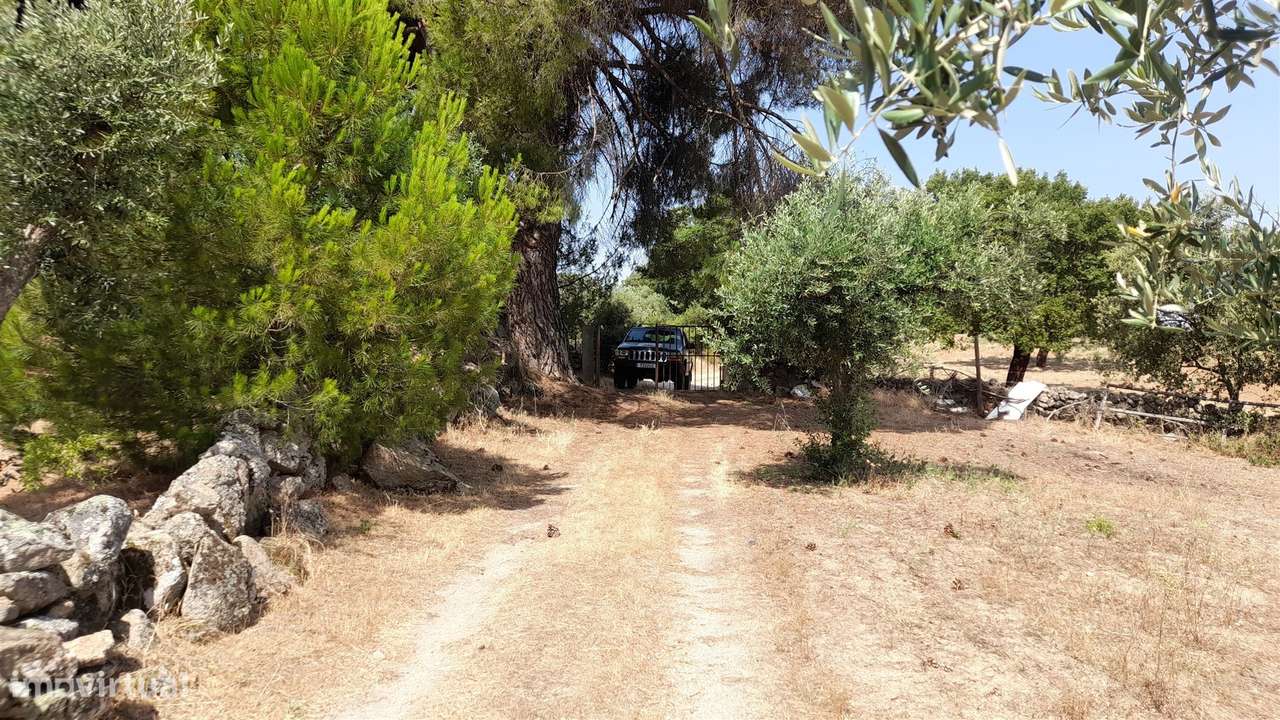 Terreno Rústico  Venda em Escalos de Cima e Lousa,Castelo Branco-17