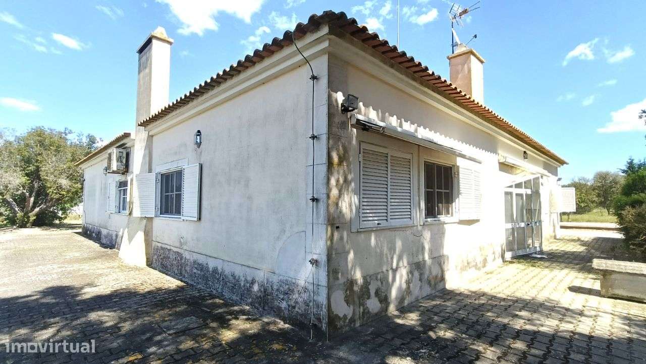 Quinta Pegões Velhos, junto á adega, com moradia e armazém lote 3,8 ha-40