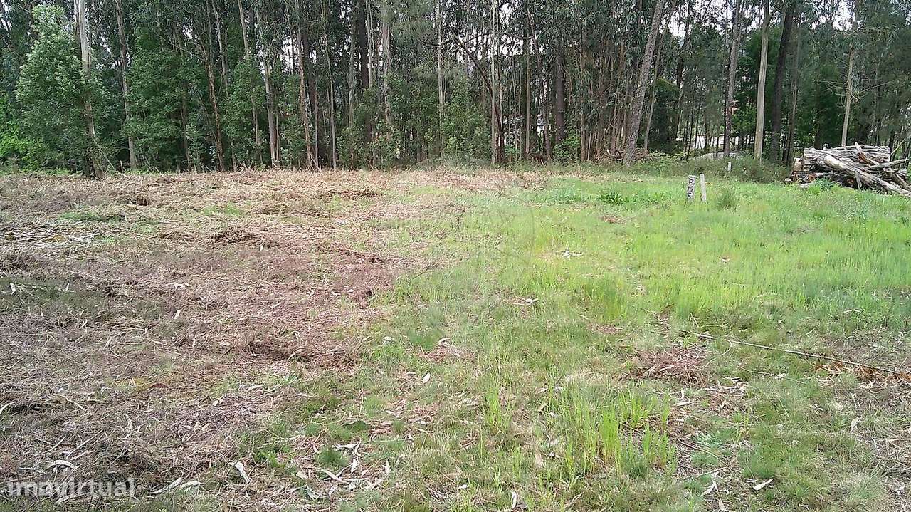 Terreno  para arrendamento - Grande imagem: 4/7