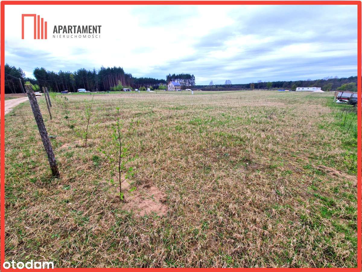 Duża Działka W Otulinie Lasów! - Pełny obrazek: 4/5