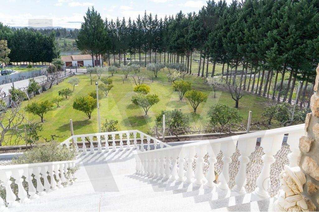 Fantástica Quinta com casa encantadora em Belmonte-46