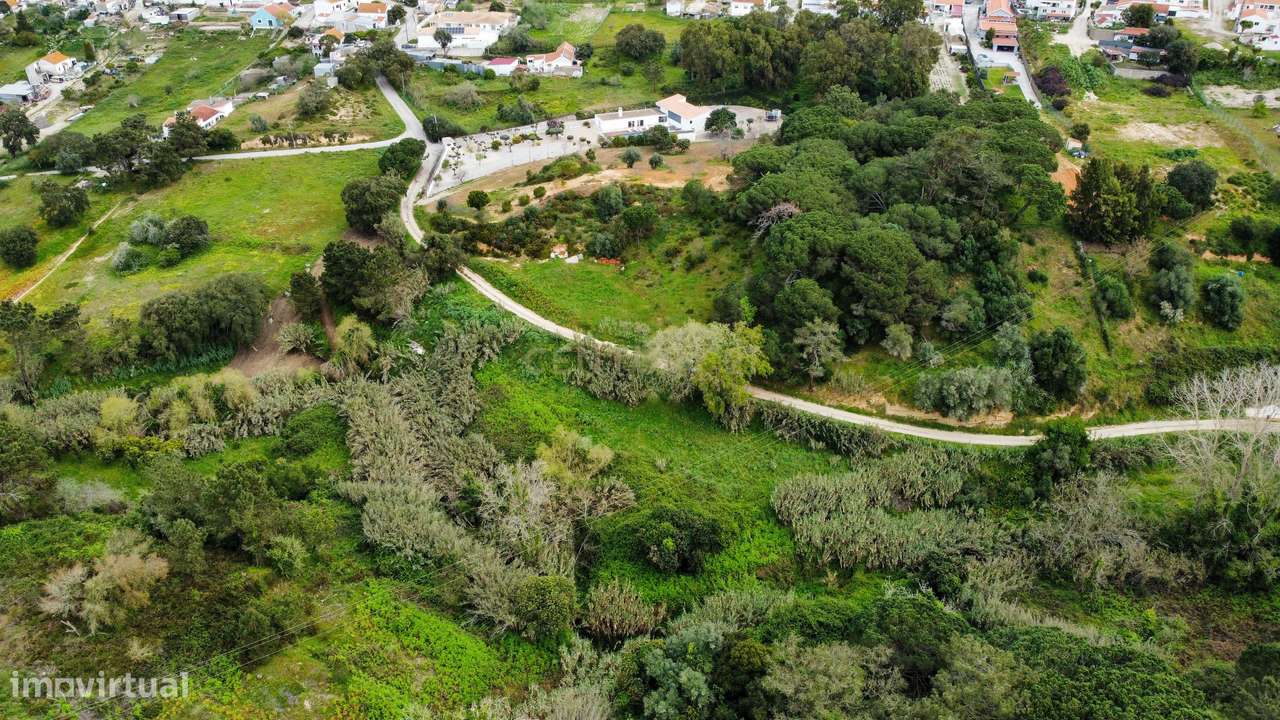 Fantástico Terreno de 6000 m2 para investimento - Grande imagem: 5/14