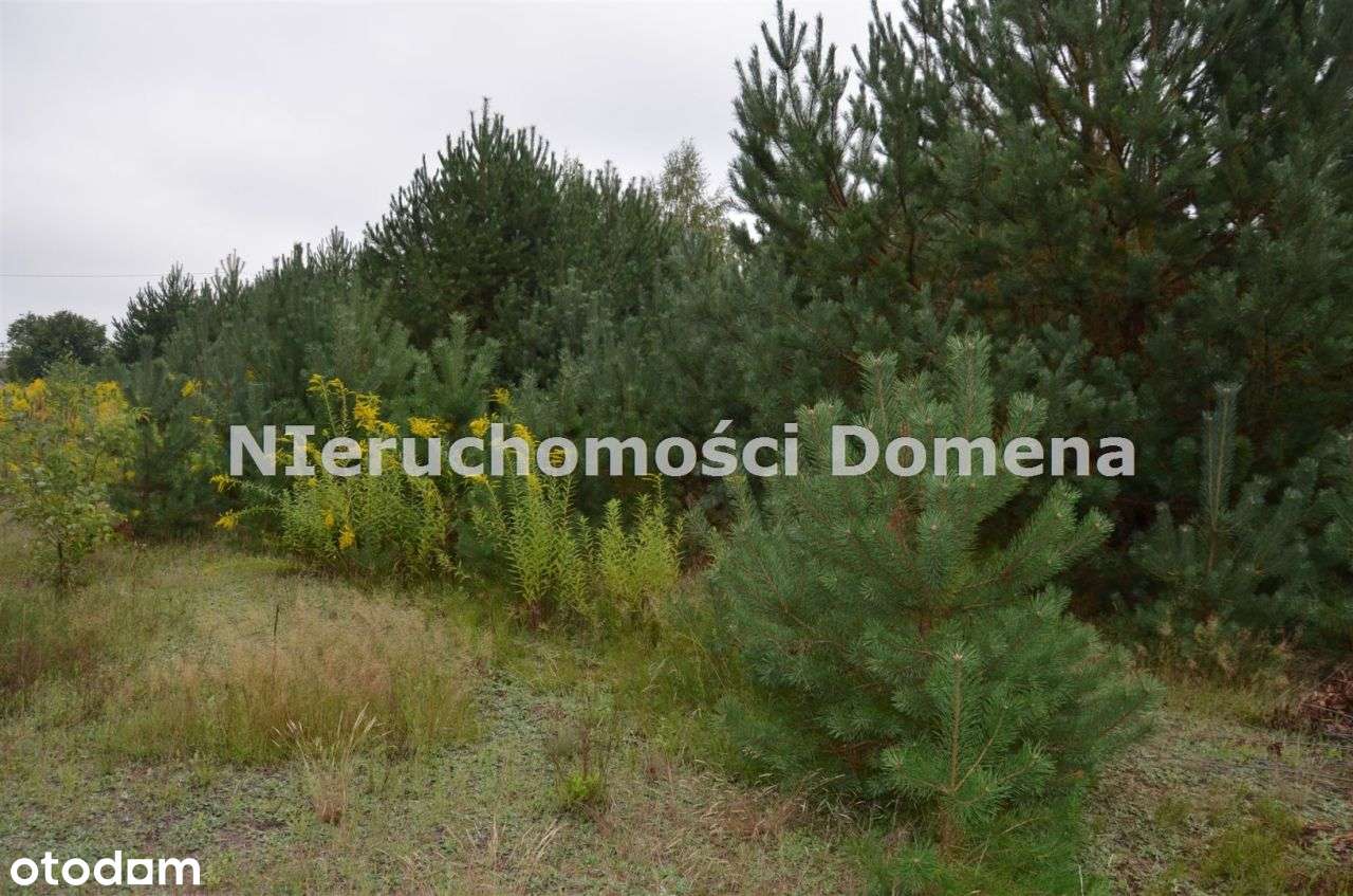 Działka rolna z możliwością zabudowy-4