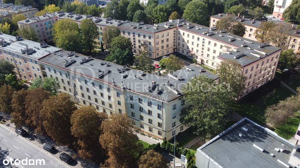 2 Pok Mieszkanie - Hetmańska - Parter - Pełny obrazek: 3/9