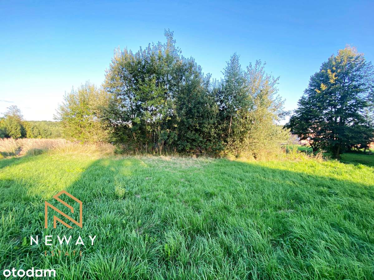 Atrakcyjna działka w malowniczej okolicy - Pełny obrazek: 5/9