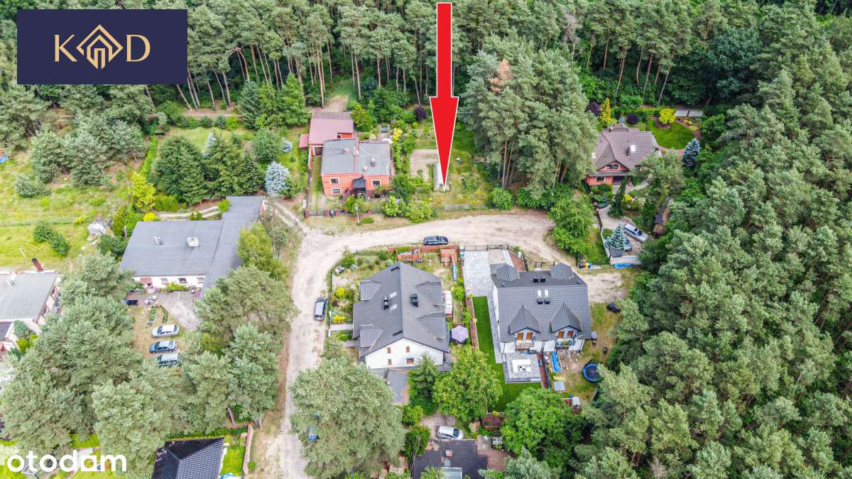 Działka Przy Ścianie Lasu - Pełny obrazek: 5/15