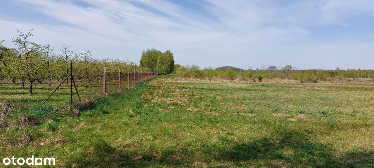 Uzbrojona działka budowlana niedaleko Prażmowa - Pełny obrazek: 5/10