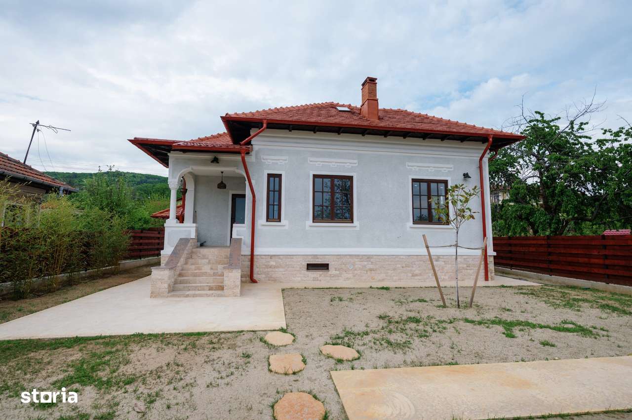 Proprietate unicat stil neoromânesc Ștefănești-1