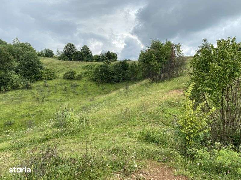 Vand teren Rosia zona Runcuri - Imagine principală: 4/8