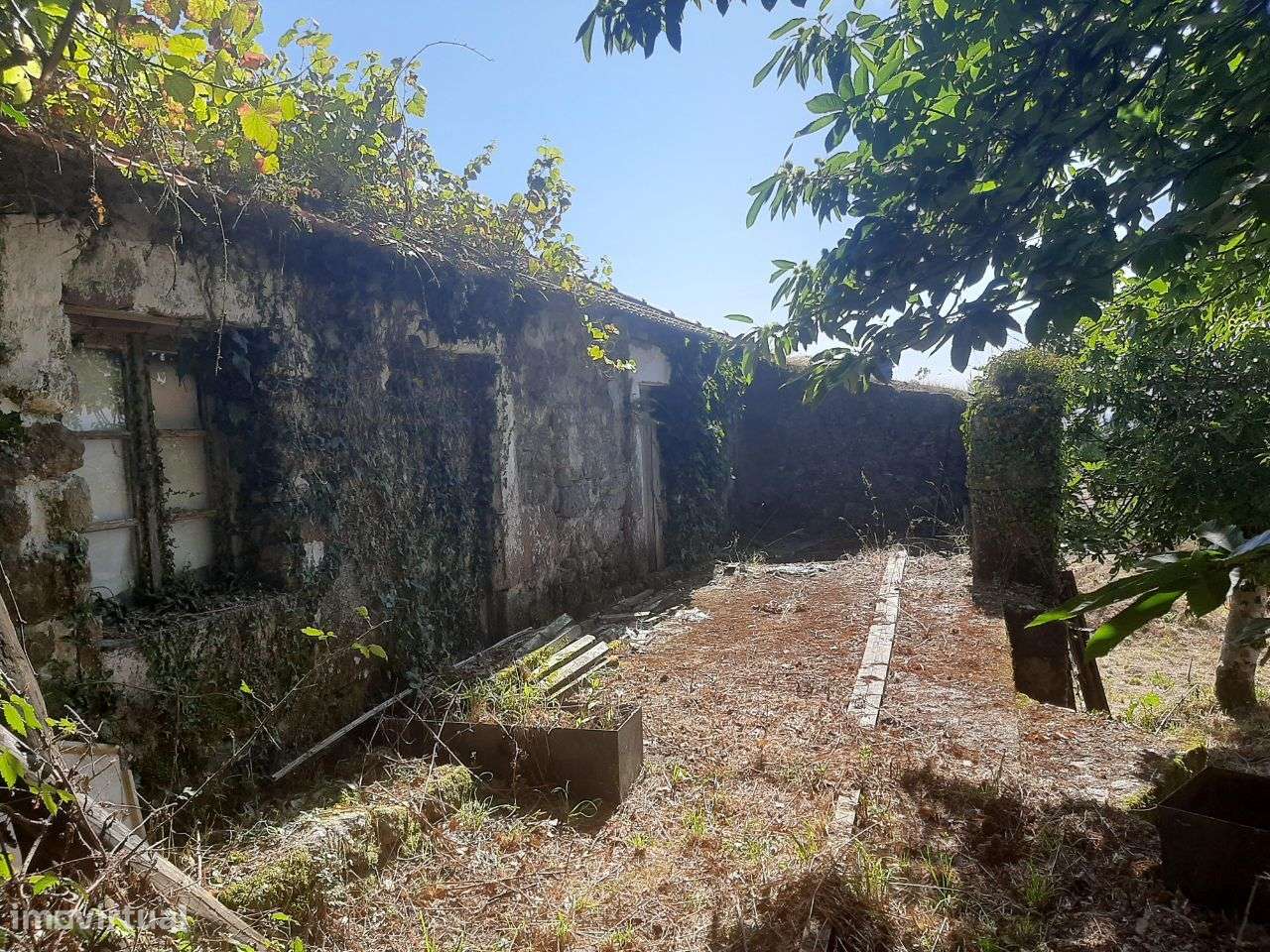 Quintinha com moradia e anexos em pedra para restauro - Grande imagem: 4/11