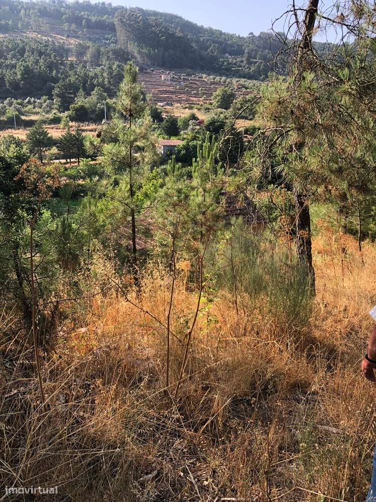 Excelente Quinta na Beira Alta com cerca de 2 Hectares-11