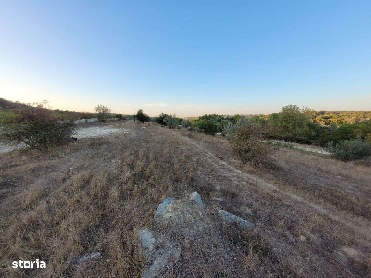 Cenavoda teren 14.000m pășune-9