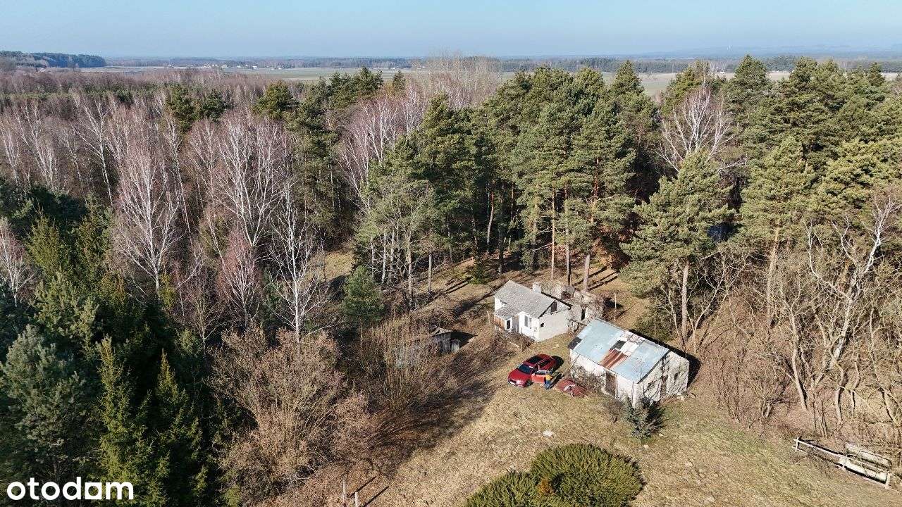 Rzewuszyce, Kluczewsko k/ Włoszczowy - Pełny obrazek: 5/5