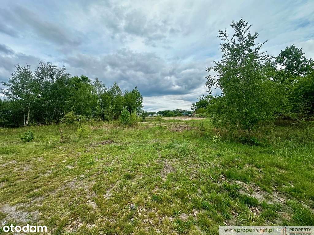 Działka inwestycyjna, 2,88 ha, Straszęcin, Żyraków - Pełny obrazek: 4/8