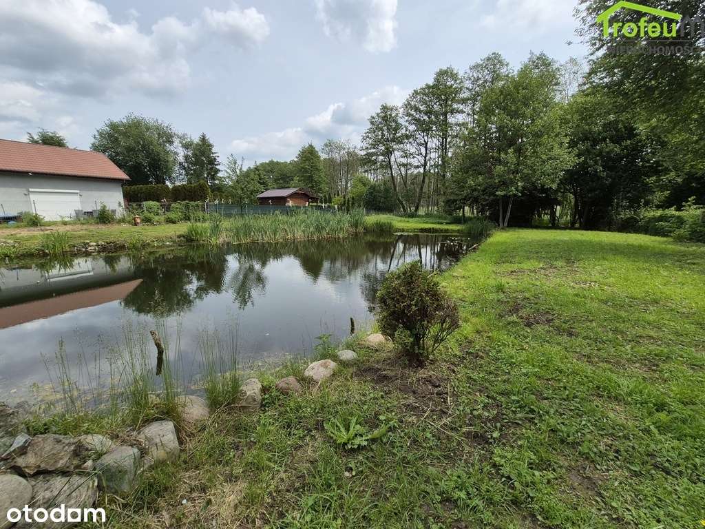 Działka ROD Dr. Jalkowskiego, Mniszek-5