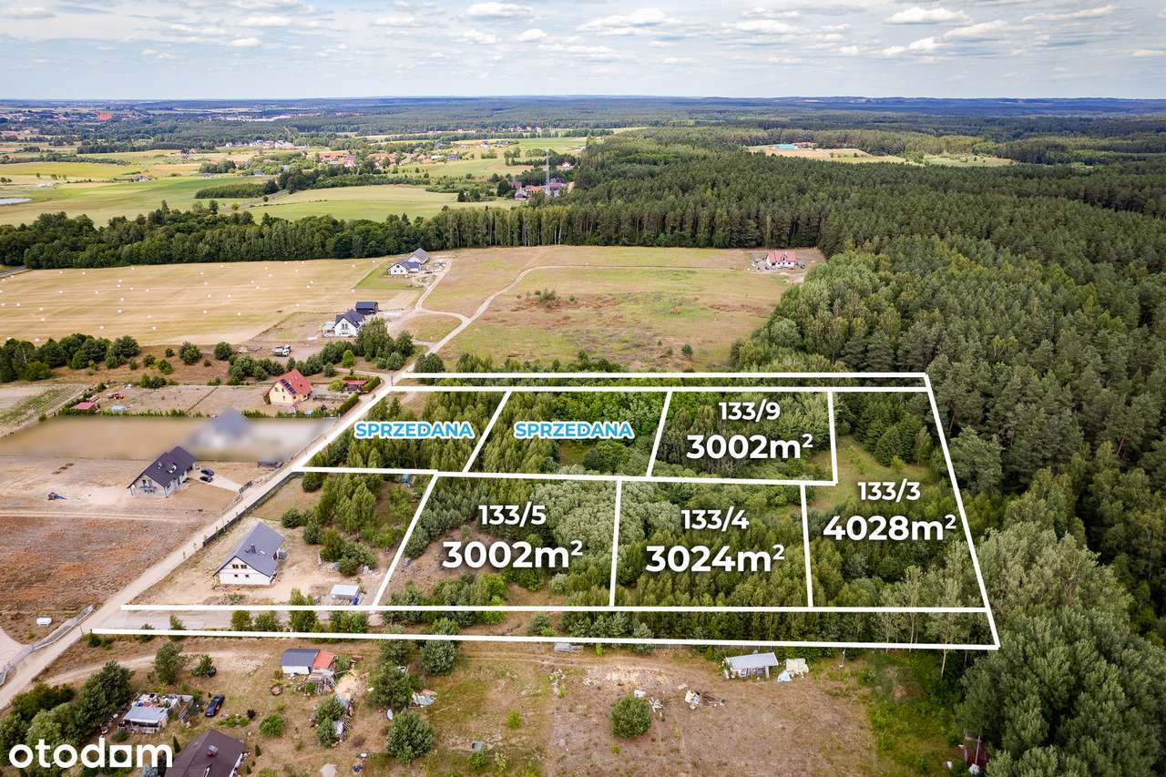 Działki budowlane 1.3 ha przy lesie Barcikowo Dobre Miasto-8