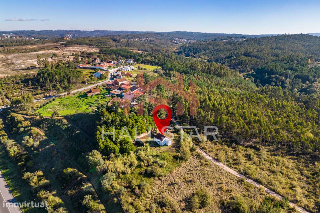 Quinta T3 em Remodelação / Terreno com 9.323m2 / Boa Vista-27