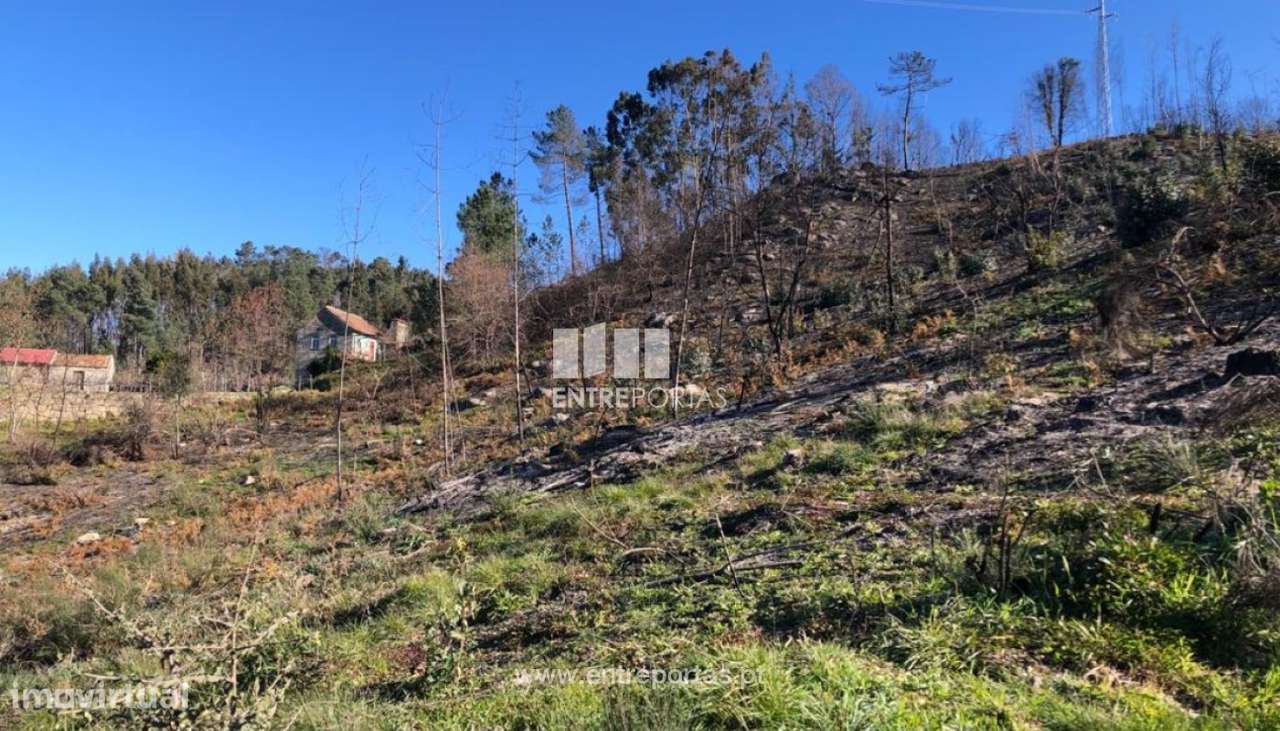 Venda Terreno, Ancede, Baião - Grande imagem: 4/28