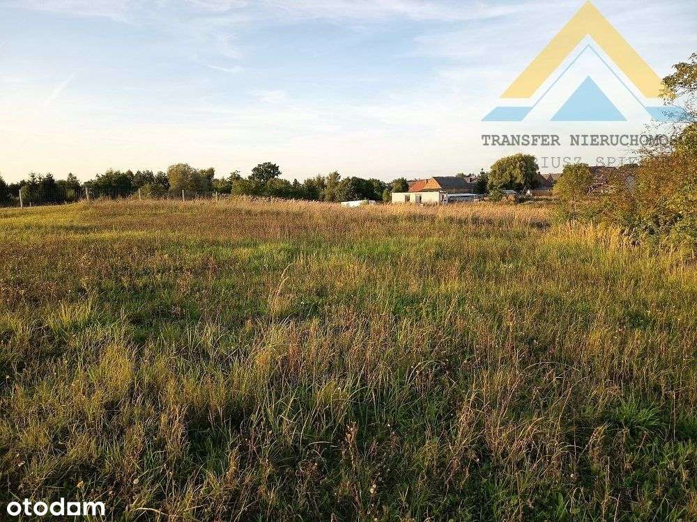 Działka rolna z potencjałem 2986 m2 , 79 tys.!-7