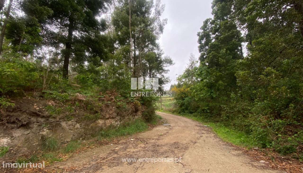 Venda de Terreno com 10.000 m2, Tougues, Vila do Conde - Grande imagem: 4/14