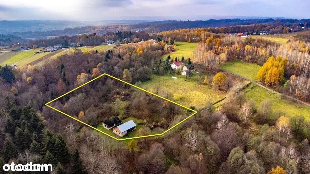 Działka 6442 m2 blisko lasu + 2 budynki - Borówki