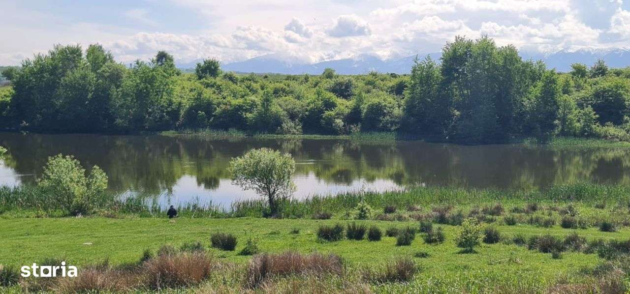 PRET SPECIAL PANA LA 15 IAN 2026:  79000EURO! 4500mp, Selimbar, cu 65m - Imagine principală: 5/13