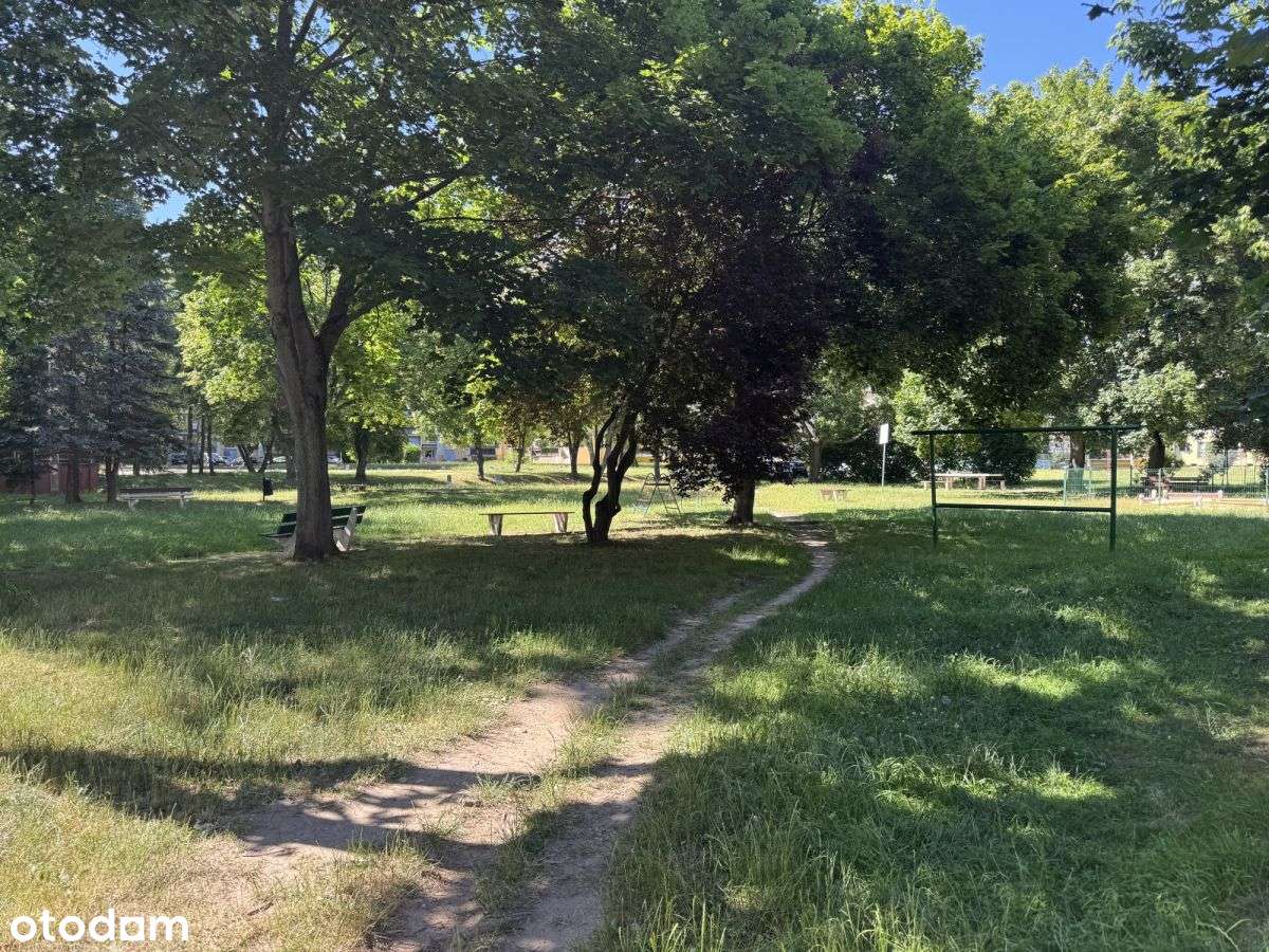 Mieszkanie do remontu ze wspaniałym widokiem - Pełny obrazek: 3/16